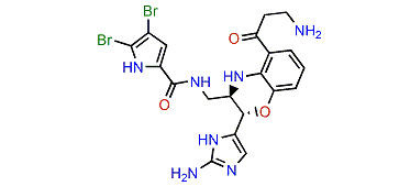 Decarboxyagelamadin C